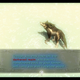 Illustration for article titled iThe Legend of Zelda: Twilight Princess /iIs Better Than I Remembered
